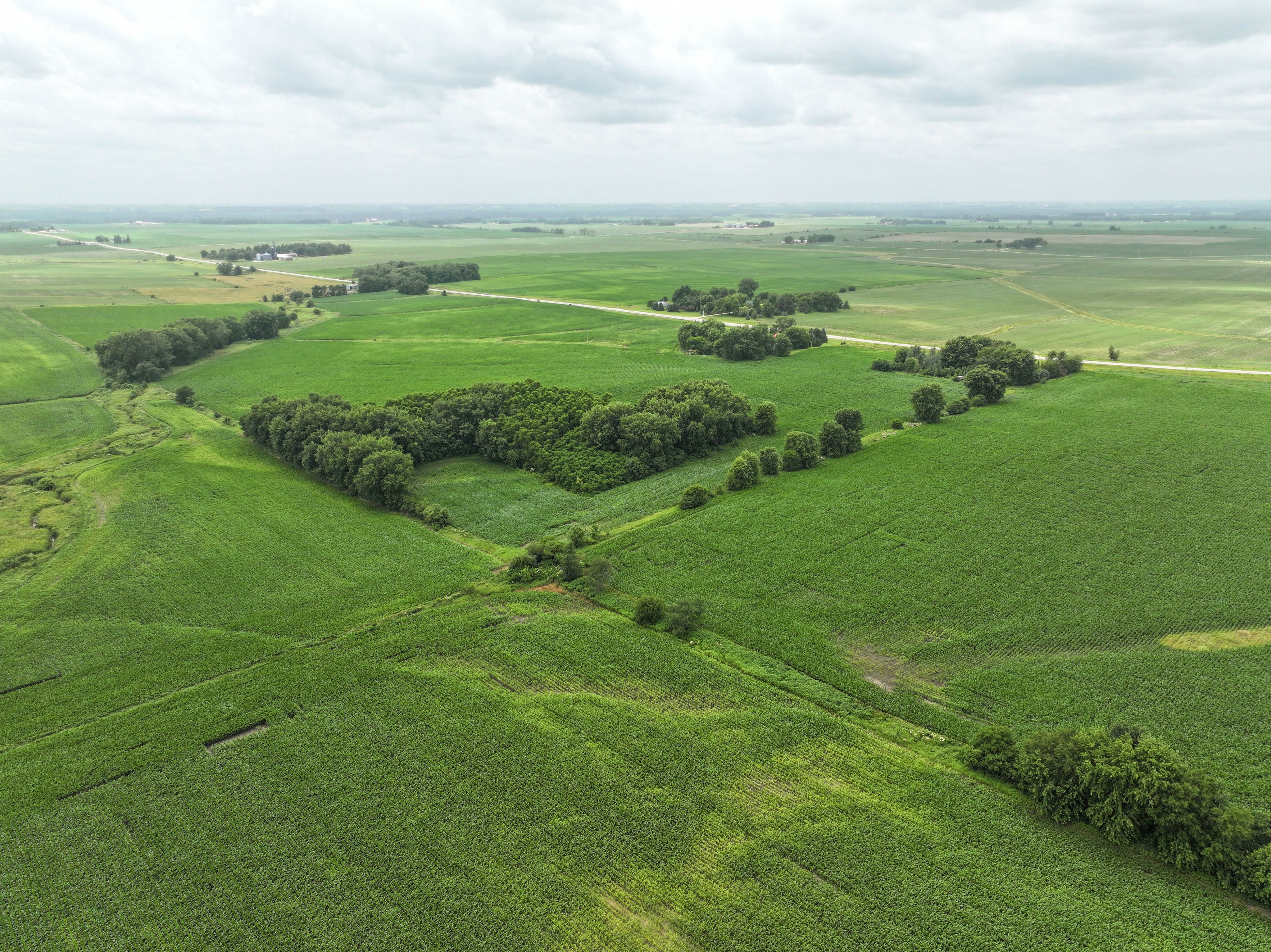 Listing Photo: 3 - Buchanan County Farmland For Sale